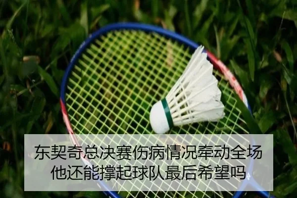 东契奇总决赛伤病情况牵动全场 他还能撑起球队最后希望吗 | manguan